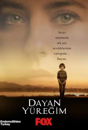 Держись, сердце мое смотреть онлайн в HD 1080