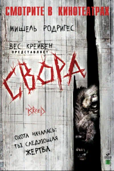 Свора 2006 смотреть в хорошем качестве