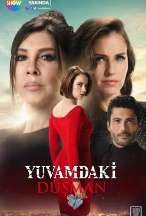 Враг в моем доме смотреть онлайн в HD 1080