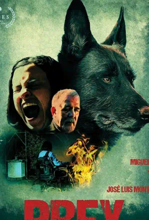 Узы смотреть онлайн в HD 1080