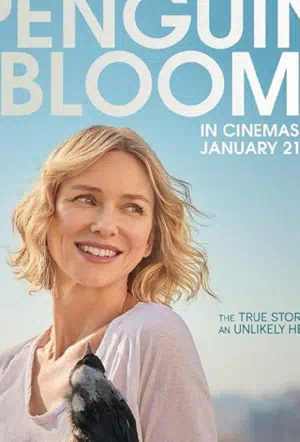 Пингвин Блум смотреть онлайн в HD 1080