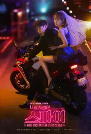 Шпионы, которые меня любили смотреть онлайн в HD 1080