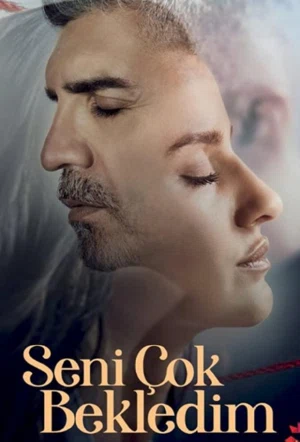 Я так долго ждал тебя смотреть онлайн в HD 1080