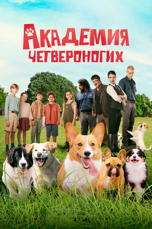 Академия четвероногих смотреть онлайн в HD 1080