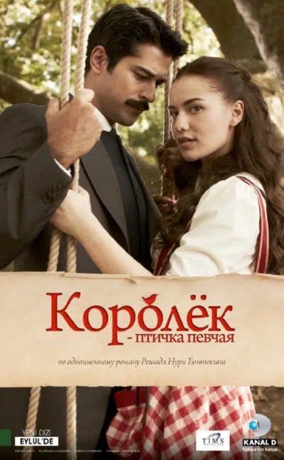 Королёк – птичка певчая смотреть онлайн в HD 1080